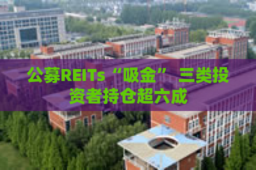 公募REITs“吸金” 三类投资者持仓超六成