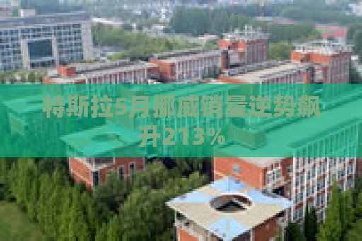 特斯拉5月挪威销量逆势飙升213%