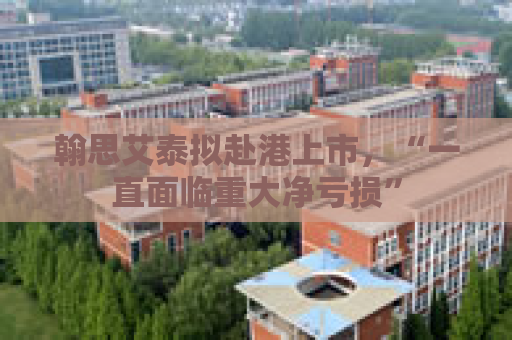 翰思艾泰拟赴港上市，“一直面临重大净亏损”