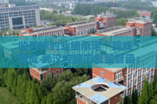 收购标的业绩承诺“踩线”完成 武汉控股回复监管函：不存在提前确认收入情形