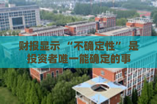 财报显示 “不确定性” 是投资者唯一能确定的事