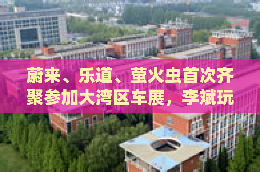 蔚来、乐道、萤火虫首次齐聚参加大湾区车展，李斌玩起谐音梗“为了赢”