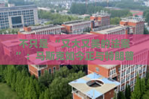 不只是 “又大又美的法案”：马斯克如今正与特朗普的多项议程 “开战”