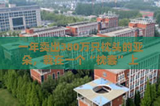 一年卖出380万只枕头的亚朵，栽在一个“枕套”上