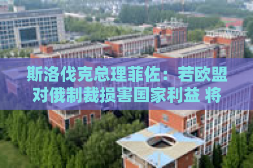 斯洛伐克总理菲佐：若欧盟对俄制裁损害国家利益 将行使否决权