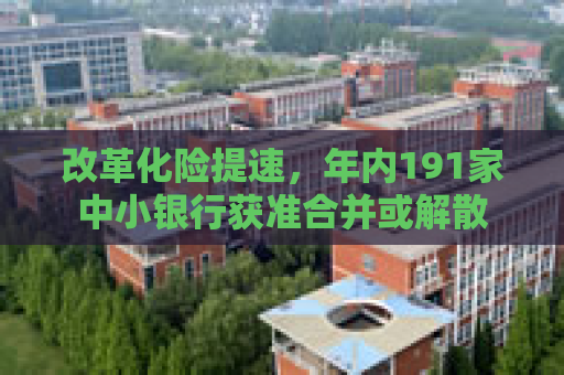 改革化险提速，年内191家中小银行获准合并或解散