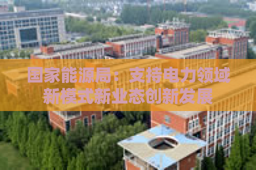 国家能源局：支持电力领域新模式新业态创新发展
