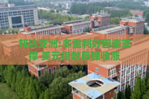 邦达亚洲:多重利好因素支撑 美元指数反弹收涨
