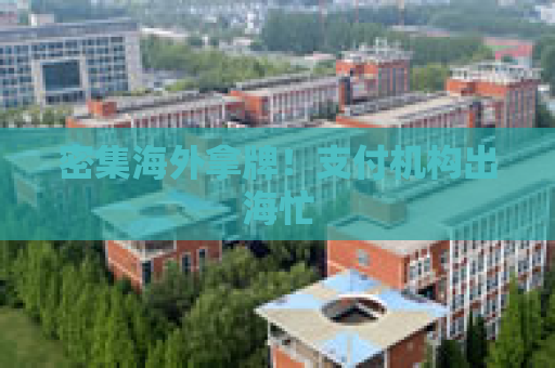 密集海外拿牌！支付机构出海忙