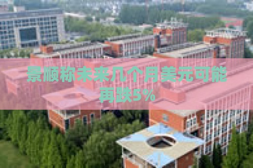 景顺称未来几个月美元可能再跌5%