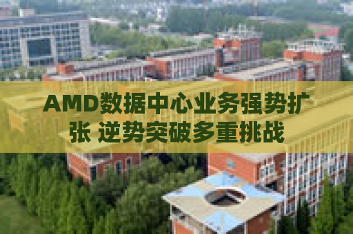 AMD数据中心业务强势扩张 逆势突破多重挑战  第1张