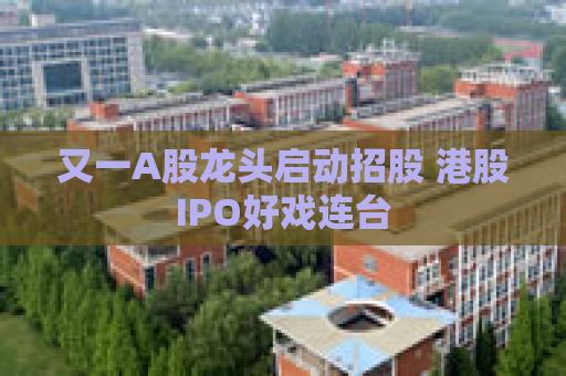又一A股龙头启动招股 港股IPO好戏连台