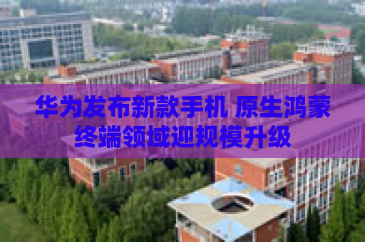 华为发布新款手机 原生鸿蒙终端领域迎规模升级