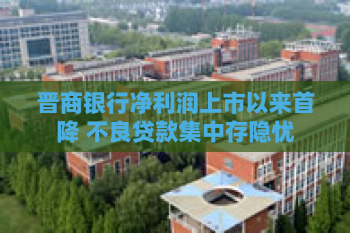晋商银行净利润上市以来首降 不良贷款集中存隐忧  第1张
