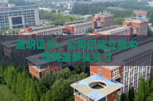 道明证券：公司已建立战术性黄金多头头寸