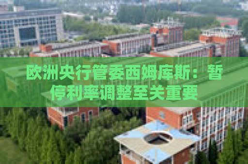 欧洲央行管委西姆库斯：暂停利率调整至关重要