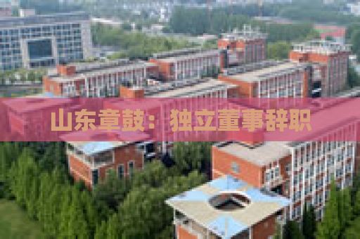 山东章鼓：独立董事辞职