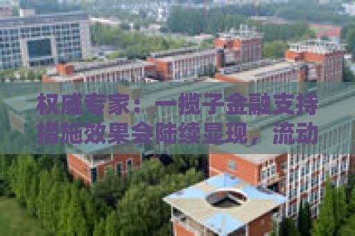 权威专家：一揽子金融支持措施效果会陆续显现，流动性将保持充裕