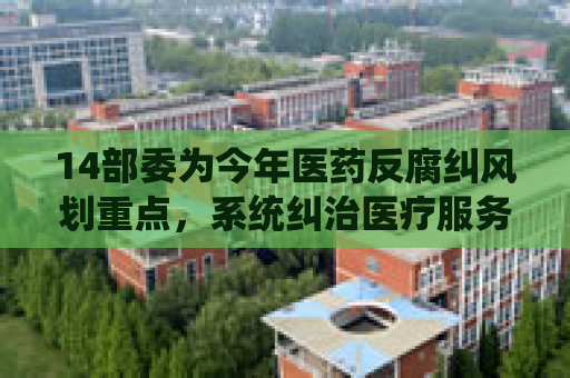 14部委为今年医药反腐纠风划重点，系统纠治医疗服务乱象