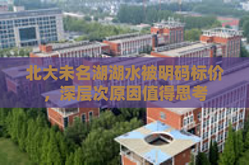 北大未名湖湖水被明码标价，深层次原因值得思考