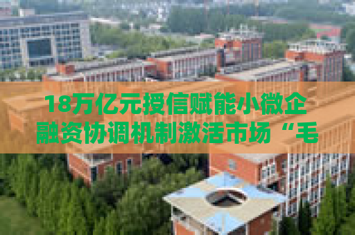 18万亿元授信赋能小微企 融资协调机制激活市场“毛细血管”