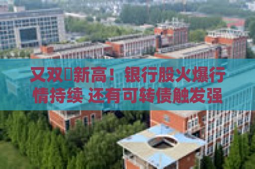 又双叒新高！银行股火爆行情持续 还有可转债触发强赎