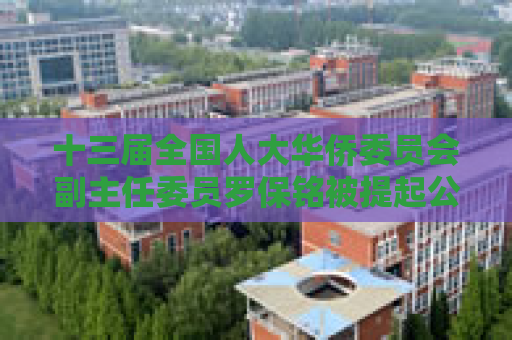 十三届全国人大华侨委员会副主任委员罗保铭被提起公诉