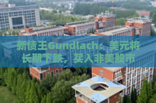 新债王Gundlach：美元将长期下跌，买入非美股市