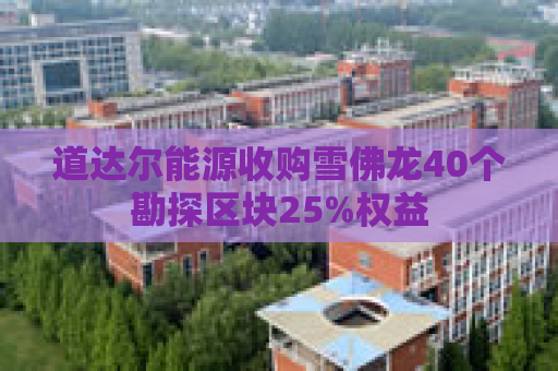 道达尔能源收购雪佛龙40个勘探区块25%权益