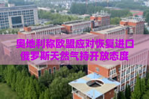 奥地利称欧盟应对恢复进口俄罗斯天然气持开放态度