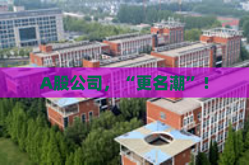 A股公司，“更名潮”！