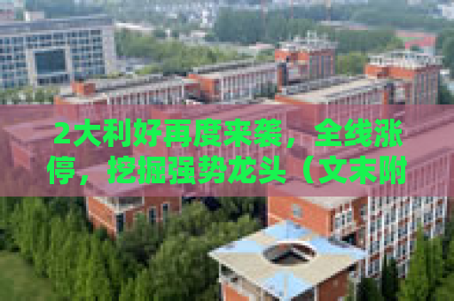 2大利好再度来袭，全线涨停，挖掘强势龙头（文末附名单）