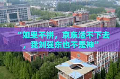 “如果不拼，京东活不下去，我刘强东也不是神”