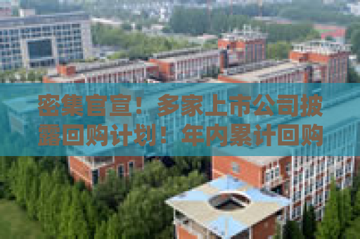 密集官宣！多家上市公司披露回购计划！年内累计回购超700亿元