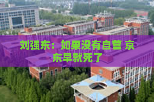 刘强东：如果没有自营 京东早就死了