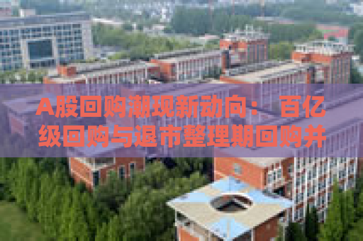 A股回购潮现新动向： 百亿级回购与退市整理期回购并行