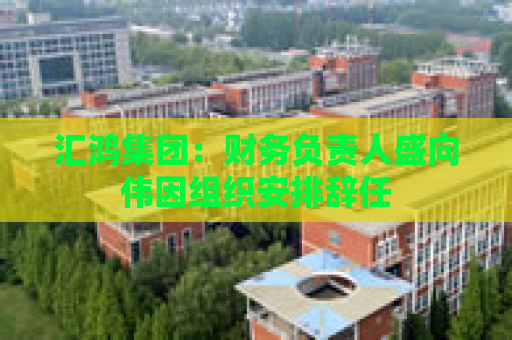汇鸿集团：财务负责人盛向伟因组织安排辞任