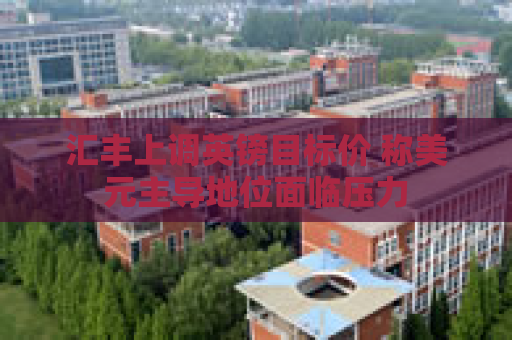 汇丰上调英镑目标价 称美元主导地位面临压力