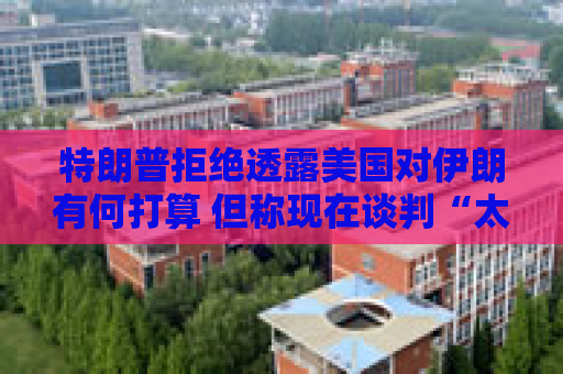 特朗普拒绝透露美国对伊朗有何打算 但称现在谈判“太晚了”