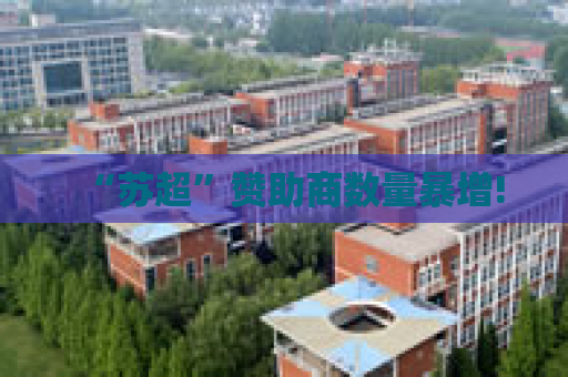 “苏超”赞助商数量暴增!