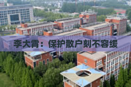 李大霄：保护散户刻不容缓