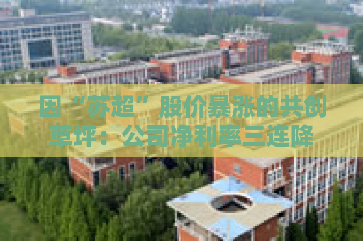 因“苏超”股价暴涨的共创草坪：公司净利率三连降
