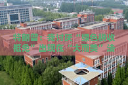 特朗普：我讨厌“绿色税收抵免”出现在“大而美”法案中
