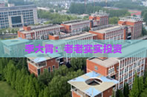 李大霄：老老实实投资