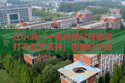 江小涓：一半跨国公司都是打不赢才离开，但他们不愿承认