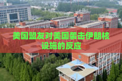 美国盟友对美国袭击伊朗核设施的反应