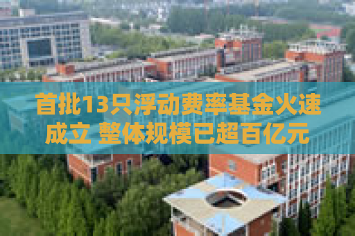 首批13只浮动费率基金火速成立 整体规模已超百亿元