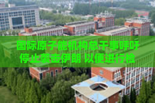 国际原子能机构总干事呼吁停止袭击伊朗 以便进行检查