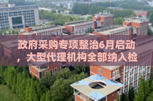 政府采购专项整治6月启动，大型代理机构全部纳入检查
