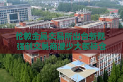伦敦金属交易所出台新规 强制交易商减少大额持仓